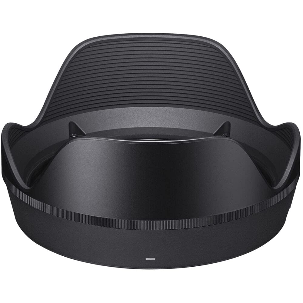 Amazon.com : Sigma 24-70mm f/2.8 DG DN Art Lens for Sony E-Mount